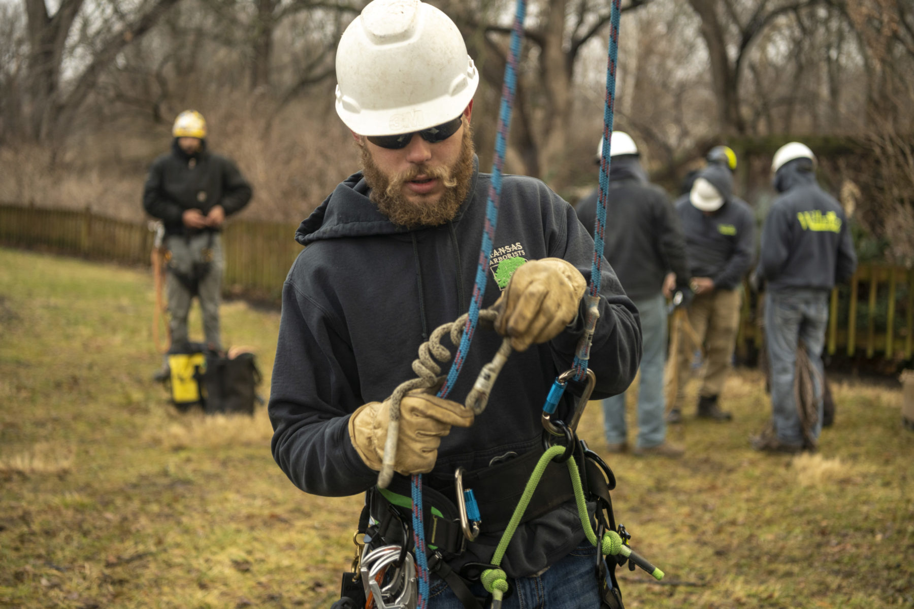 arborist wearing proper safety gear