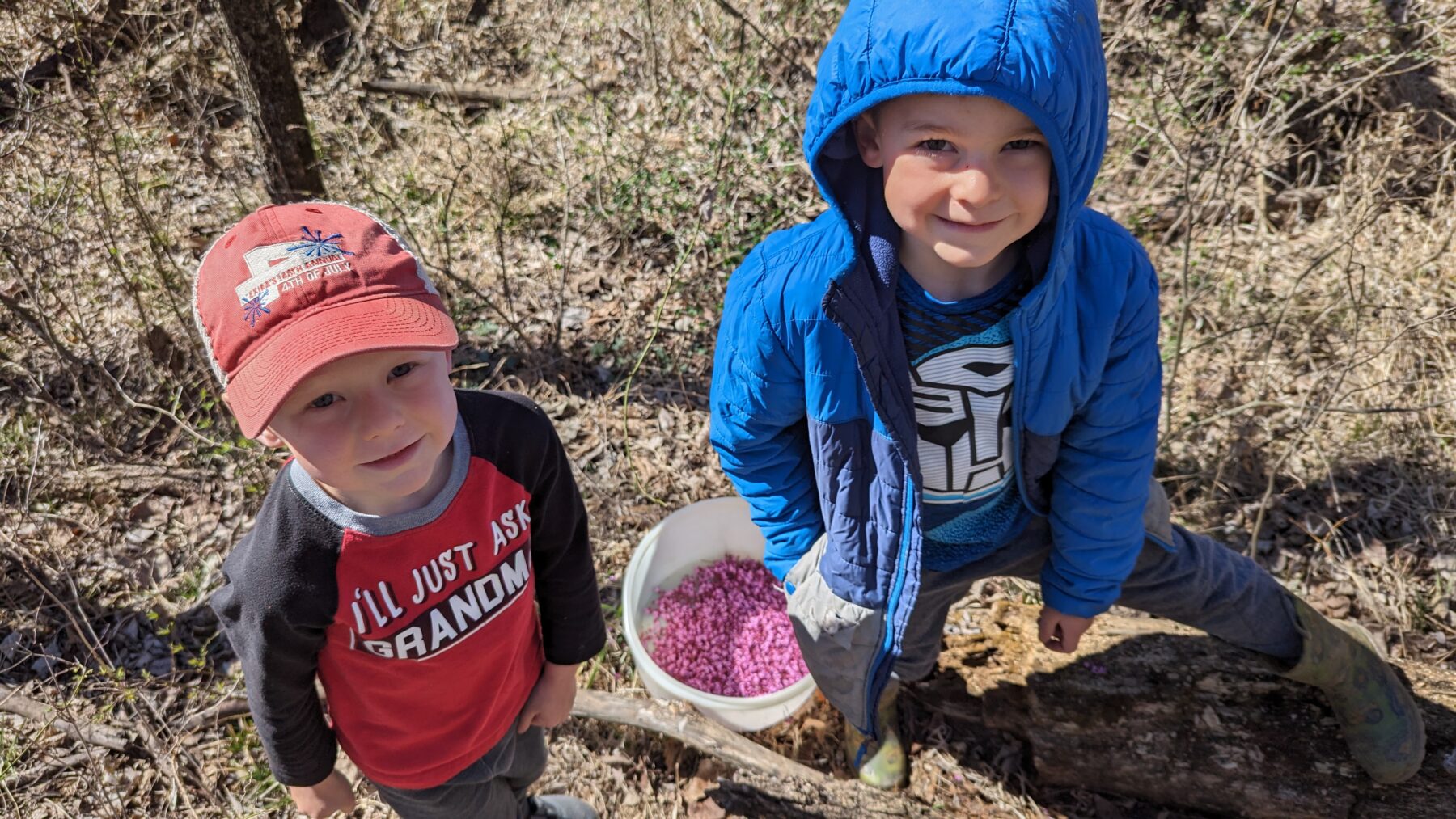 Foraging redbud blossoms