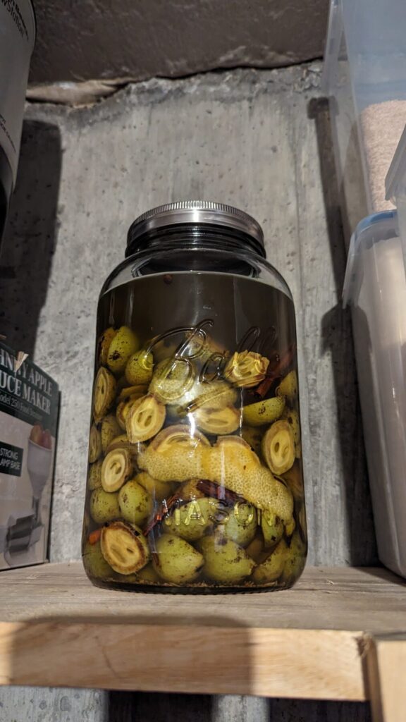 Waiting for nocino to infuse.