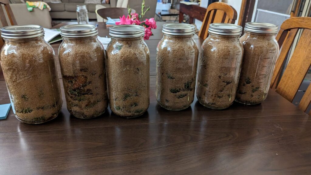 The initial steps of pine cone syrup.