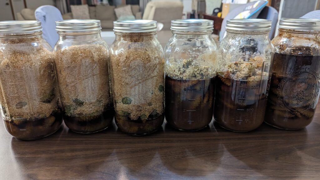The middle of the process for pine cone syrup.