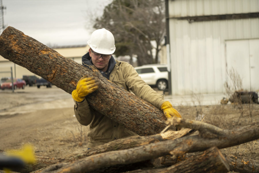 Tree Removal Wellnitz Tree Care KC, Topeka, Emporia, Lawrence KS