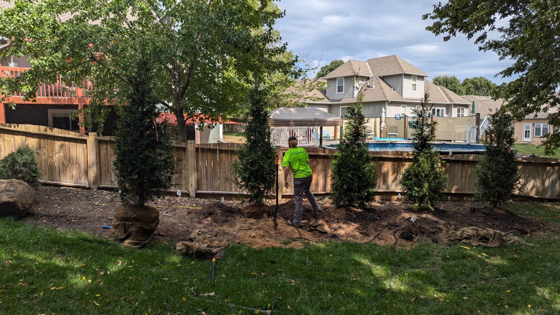 Planting multiple trees.
