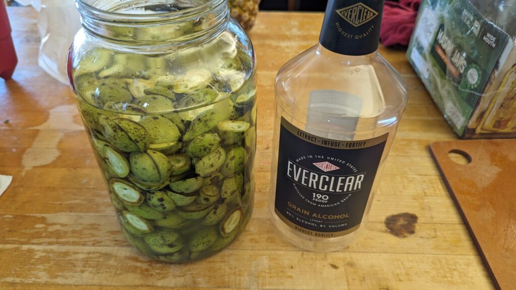 Walnuts in everclear